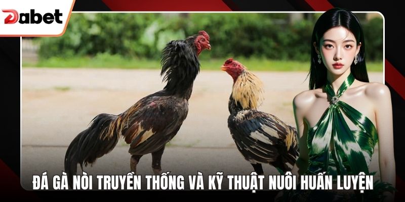 Đá gà nòi